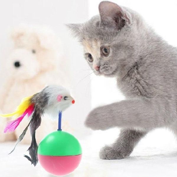 cat toys 1 pcs funny tumbler mouse for cats kitties pets accessories pet toy juguetes gatos mascotas
cat toys 1 pcs funny tumbler mouse for cats kitties pets accessories pet toy juguetes gatos mascotas