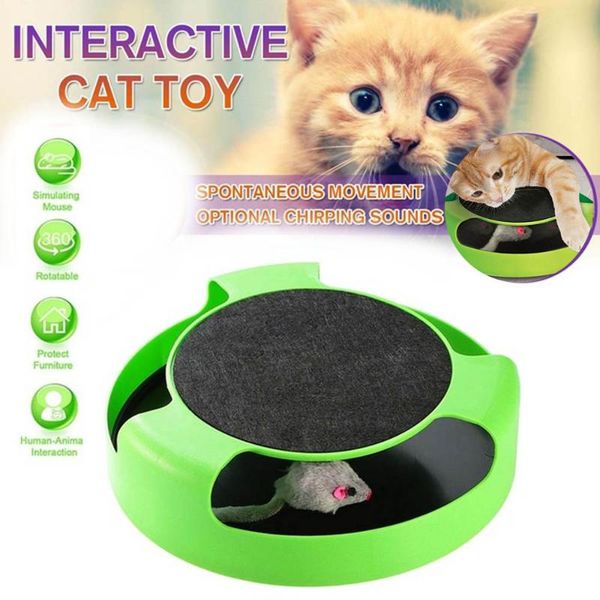 cat toys plastic green kitten catch plush the mouse moving toy claw care scratching mat play interactive
cat toys plastic green kitten catch plush the mouse moving toy claw care scratching mat play interactive