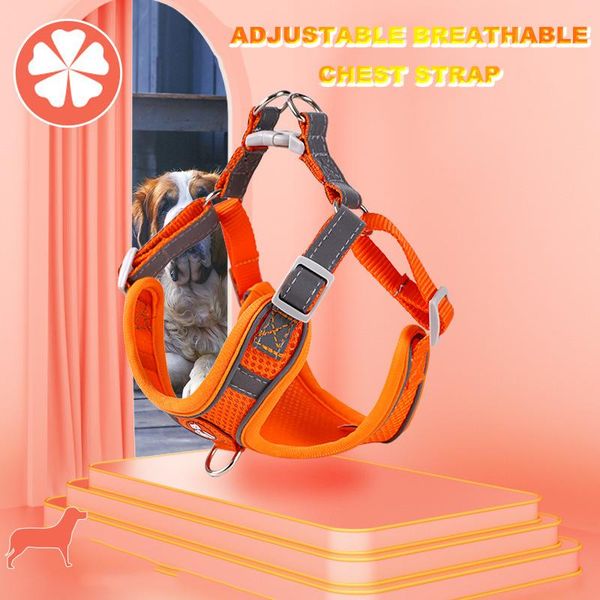 dog collars & leashes nylon heavy duty pet harness collar adjustable padded extra big large medium small harnesses vest husky dogs supplies
dog collars & leashes nylon heavy duty pet harness collar adjustable padded extra big large medium small harnesses vest husky dogs supplies