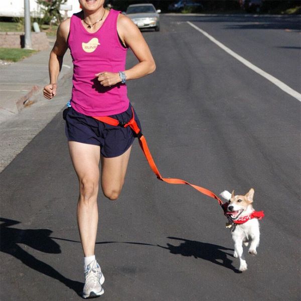 dog collars & leashes adjustable waist leash hands lead walking running jogging belt
dog collars & leashes adjustable waist leash hands lead walking running jogging belt