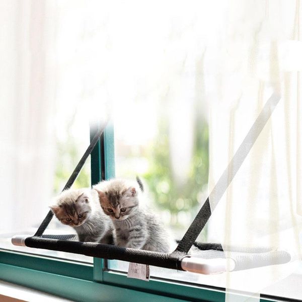cat beds & furniture removable pet hanging bed suspended sucker breathable hammock house for cats washable litter nest
cat beds & furniture removable pet hanging bed suspended sucker breathable hammock house for cats washable litter nest