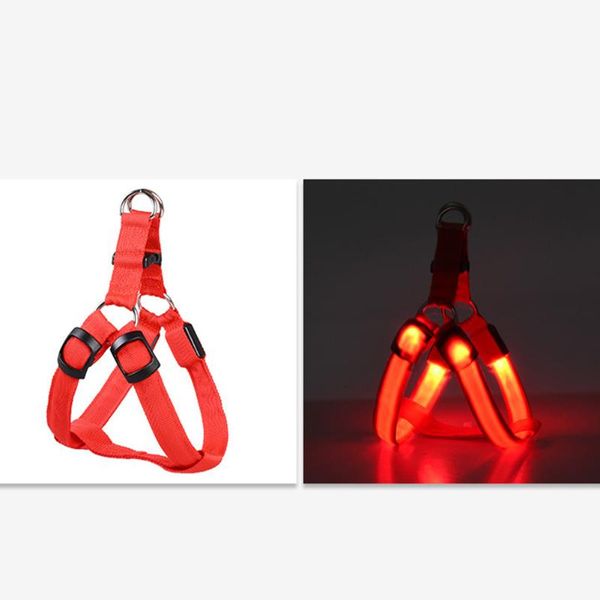 chest harness led pet dog glow flashing light-up night safety for dogs pets promotion collars & leashes
chest harness led pet dog glow flashing light-up night safety for dogs pets promotion collars & leashes