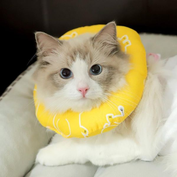 pet protective collar healing wound neck cone protection anti-bite recovery for dogs cats dog products collars & leashes
pet protective collar healing wound neck cone protection anti-bite recovery for dogs cats dog products collars & leashes