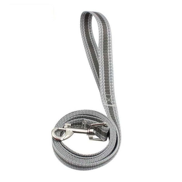 dog collars & leashes reflective rope night safety walking chain leash pet supplies 1pcs
dog collars & leashes reflective rope night safety walking chain leash pet supplies 1pcs