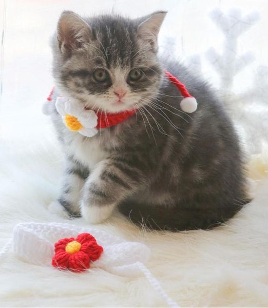 cat costumes hand made colorful bow-knot collar with bell knitting kitten accessories christmas dress necklace for dog petty
cat costumes hand made colorful bow-knot collar with bell knitting kitten accessories christmas dress necklace for dog petty