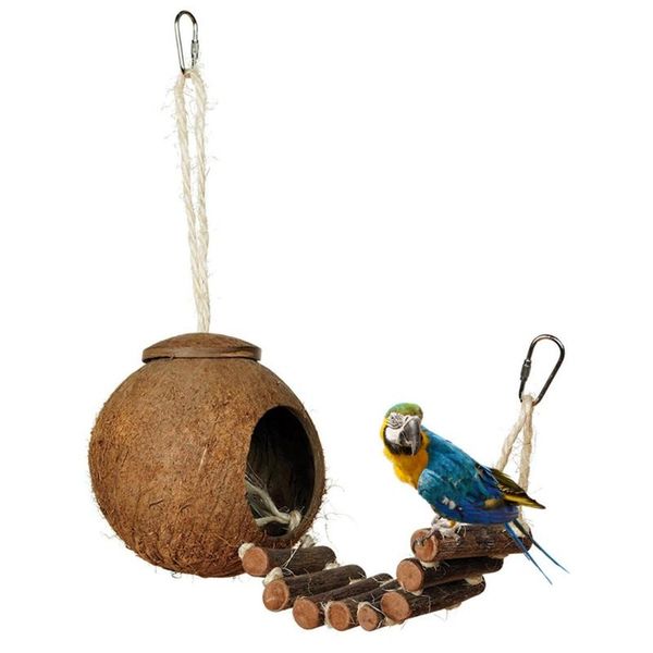 small animal supplies comfortable cute design natural coconut shell bird nesting house size pet parakeets finches sparrows cage with ladder
small animal supplies comfortable cute design natural coconut shell bird nesting house size pet parakeets finches sparrows cage with ladder