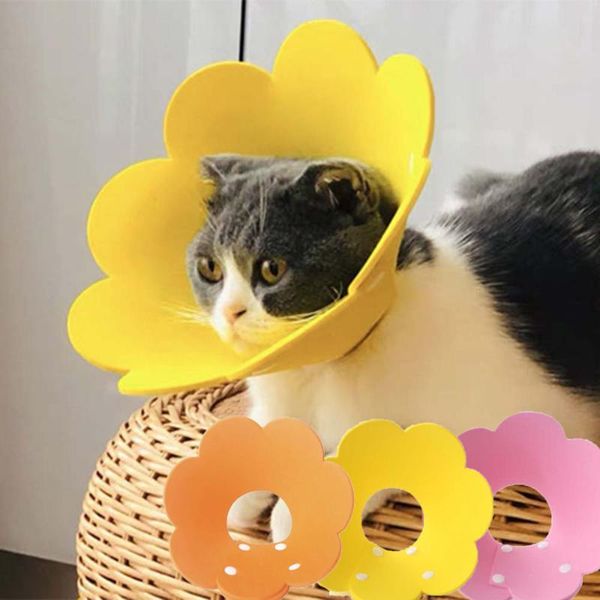 cat collars & leads pet anti-bite for small dog wound healing protection protective neck cone recovery circle s/m/l
cat collars & leads pet anti-bite for small dog wound healing protection protective neck cone recovery circle s/m/l