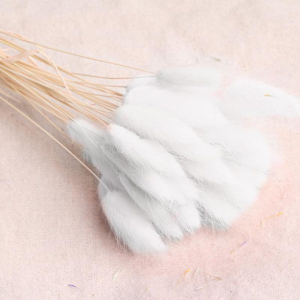 30pcs party tail grass bouquet natural wedding artificial home decor eco friendly florist lagurus ovatus dried flower decorative flow flower
30pcs party tail grass bouquet natural wedding artificial home decor eco friendly florist lagurus ovatus dried flower decorative flow flower