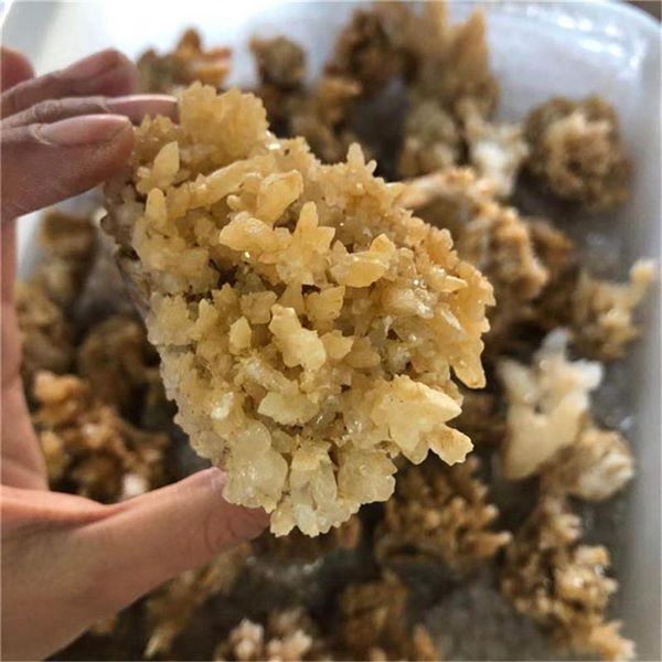 natural quartz sodalite cluster crystal geode mineral specimen healing stone for feng shui decorative objects & figurines
natural quartz sodalite cluster crystal geode mineral specimen healing stone for feng shui decorative objects & figurines