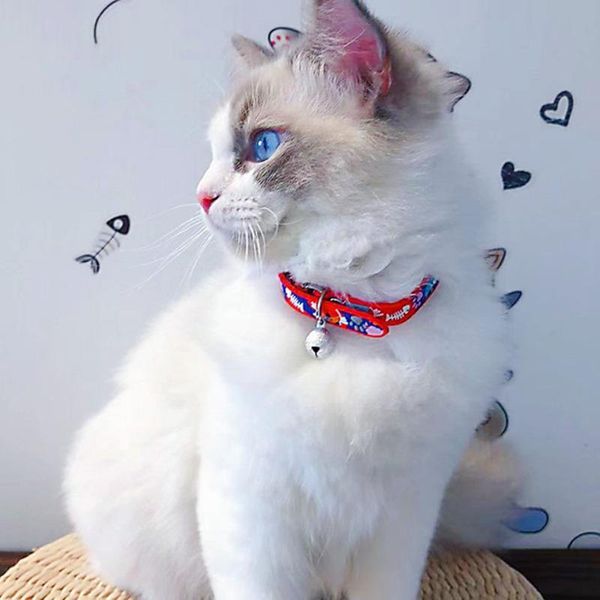 cat collars & leads adjustable dog collar with bell easy wear buckle puppy chihuahua small
cat collars & leads adjustable dog collar with bell easy wear buckle puppy chihuahua small