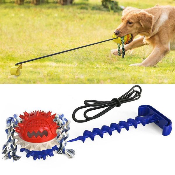 party favor pet rope ball outdoor training toy dog molar teeth bite resistant interactive pull with power
party favor pet rope ball outdoor training toy dog molar teeth bite resistant interactive pull with power
