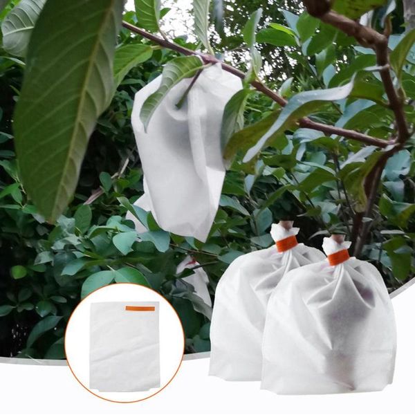 planters & pots 100pcs grape netting bags garden fruit barrier cover mesh bag for vegetable grapes protaction pouch waterproof
planters & pots 100pcs grape netting bags garden fruit barrier cover mesh bag for vegetable grapes protaction pouch waterproof