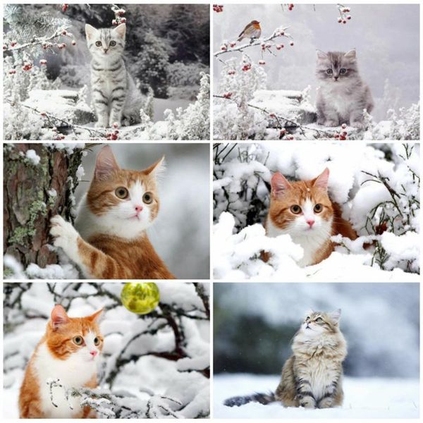 diamond painting evershine 5d diy cat bead embroidery mosaic winter picture rhinestones animal handmade hobby gift
diamond painting evershine 5d diy cat bead embroidery mosaic winter picture rhinestones animal handmade hobby gift