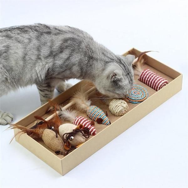 pcs cats pet dolls cat toys variety pack dog toy funny mouse sisal love set simulation molar feather
pcs cats pet dolls cat toys variety pack dog toy funny mouse sisal love set simulation molar feather