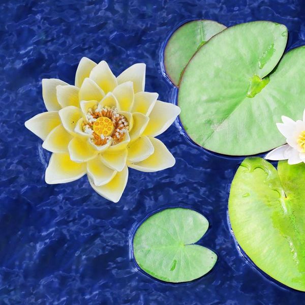 craft lotus flower statue candlestick creative resin garden for art decor patio lawn table decoration figurines miniatures decorative object
craft lotus flower statue candlestick creative resin garden for art decor patio lawn table decoration figurines miniatures decorative object