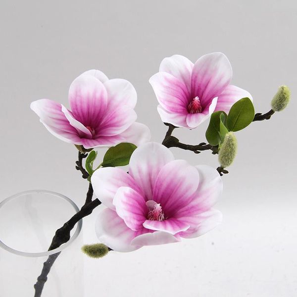 decorative flowers & wreaths 3 heads real touch magnolia artificial for wedding decoration fake flower branch home table decor
decorative flowers & wreaths 3 heads real touch magnolia artificial for wedding decoration fake flower branch home table decor