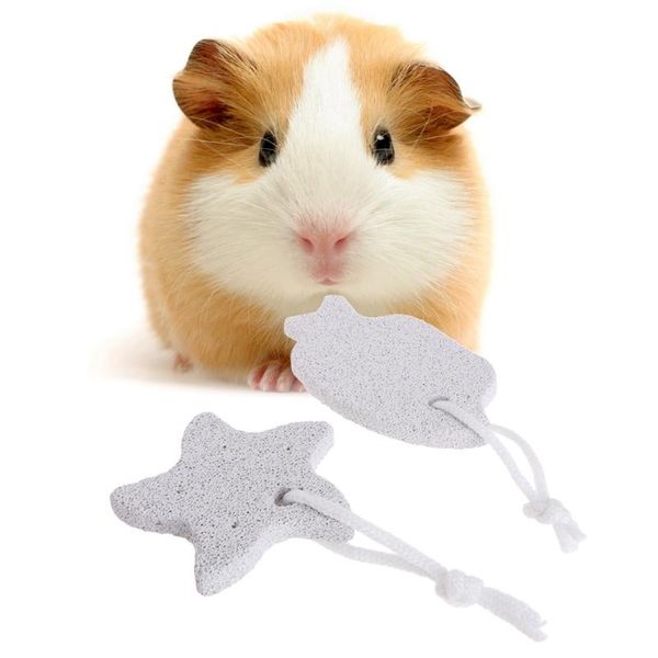 hamster teeth stone grinding health chinchilla chew minerals molar fish starfish small animal supplies
hamster teeth stone grinding health chinchilla chew minerals molar fish starfish small animal supplies