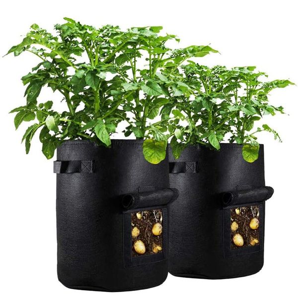 planters & pots 2pc fabric planter grow bags felt growing gardening flower vegetable garden planting garten tool
planters & pots 2pc fabric planter grow bags felt growing gardening flower vegetable garden planting garten tool