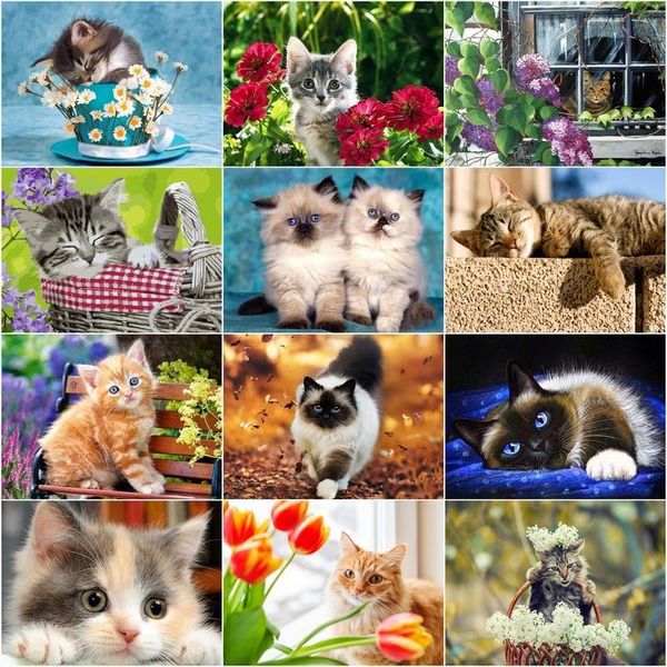 paintings chenistory framess oil painting cute cat animals diy pictures by number home decoration wall art canvas for 60x75cm
paintings chenistory framess oil painting cute cat animals diy pictures by number home decoration wall art canvas for 60x75cm