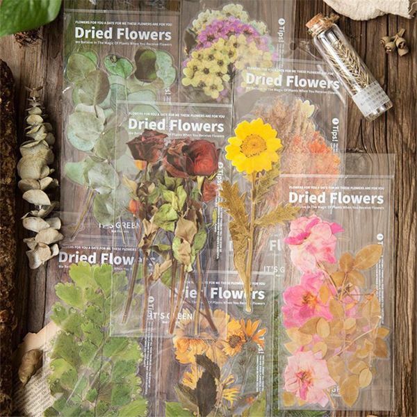 gift wrap 6pcs flowers botany series decorative stickers scrapbooking stick label diy diary stationery vintage plant sticker
gift wrap 6pcs flowers botany series decorative stickers scrapbooking stick label diy diary stationery vintage plant sticker