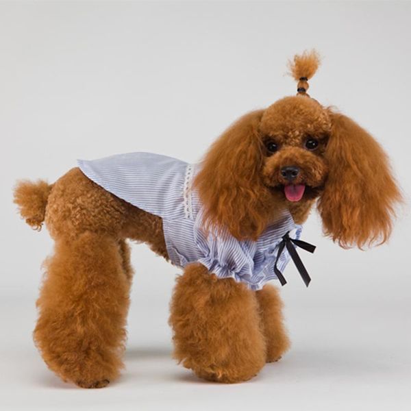 poodle bichon clothes dog shirts for small costumes yorkshire terrier pet cat puppy striped pug clothing apparel
poodle bichon clothes dog shirts for small costumes yorkshire terrier pet cat puppy striped pug clothing apparel
