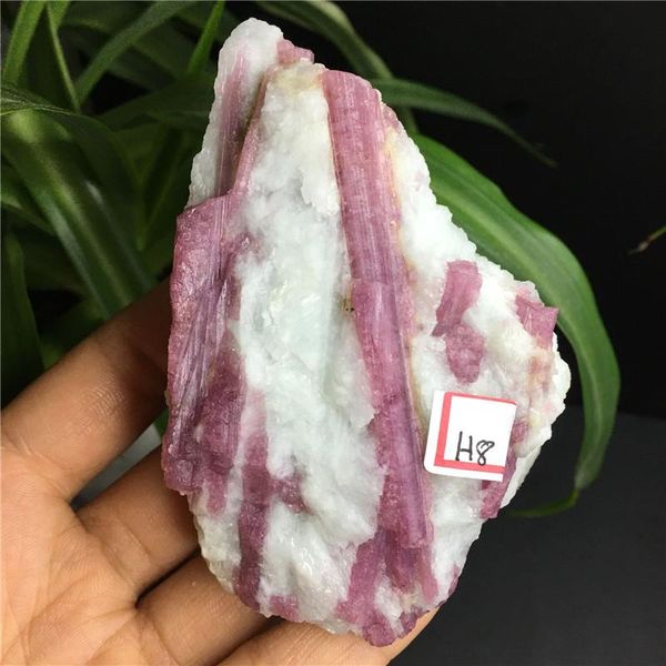 decorative objects & figurines natural pink tourmaline crystal mineral rough stone specimen
decorative objects & figurines natural pink tourmaline crystal mineral rough stone specimen