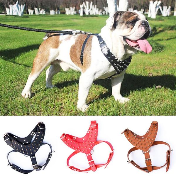 dog collars & leashes pets safety leash pet supplies rivets cat halter harnesses adjustable
dog collars & leashes pets safety leash pet supplies rivets cat halter harnesses adjustable