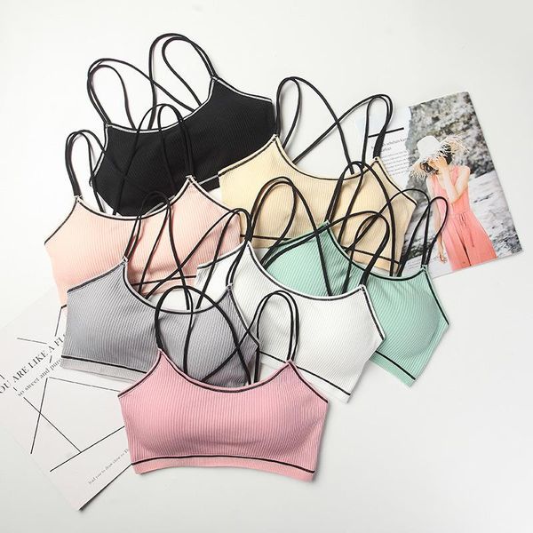 yoga accessories women sport cotton bra fitness stretch sports crop solid gym wear cross back underwear jogging outfit
yoga accessories women sport cotton bra fitness stretch sports crop solid gym wear cross back underwear jogging outfit