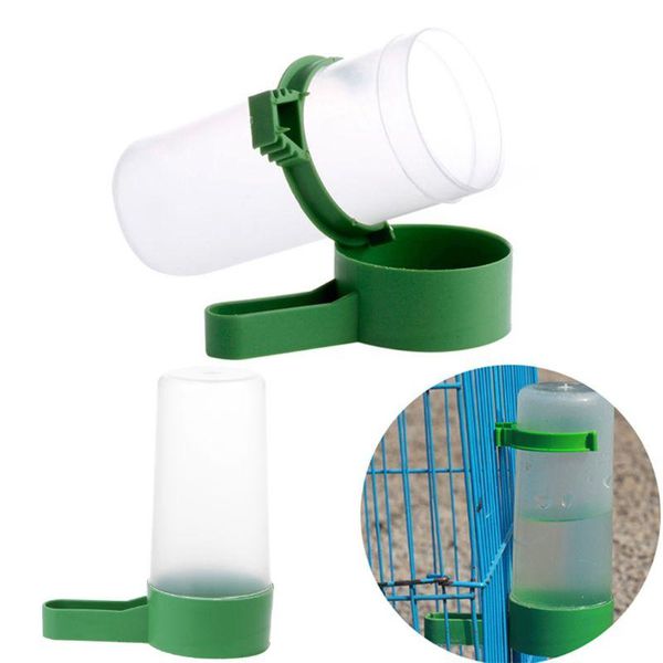 other bird supplies s/l drinker food feeder waterer clip for aviary cockatiel lovebirds
other bird supplies s/l drinker food feeder waterer clip for aviary cockatiel lovebirds