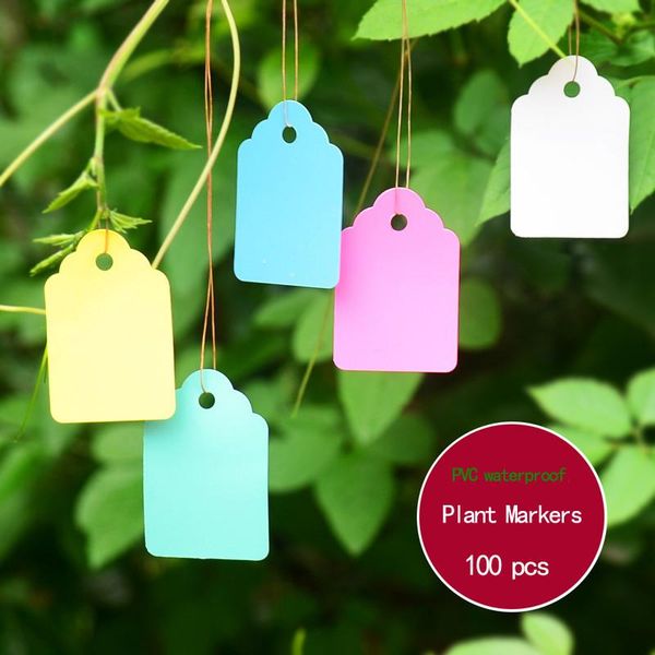 other garden supplies pvc waterproof material 100pcs 45x30mm blank plant markers labels strip hang tags identification with rope flowerstool
other garden supplies pvc waterproof material 100pcs 45x30mm blank plant markers labels strip hang tags identification with rope flowerstool