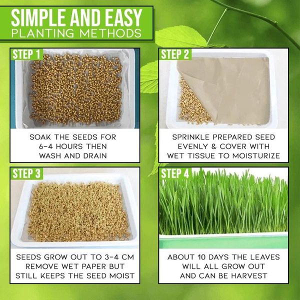 layer hydroponic tray for begginers microgreens paper33cm x 26cm 5cm planters & pots
layer hydroponic tray for begginers microgreens paper33cm x 26cm 5cm planters & pots