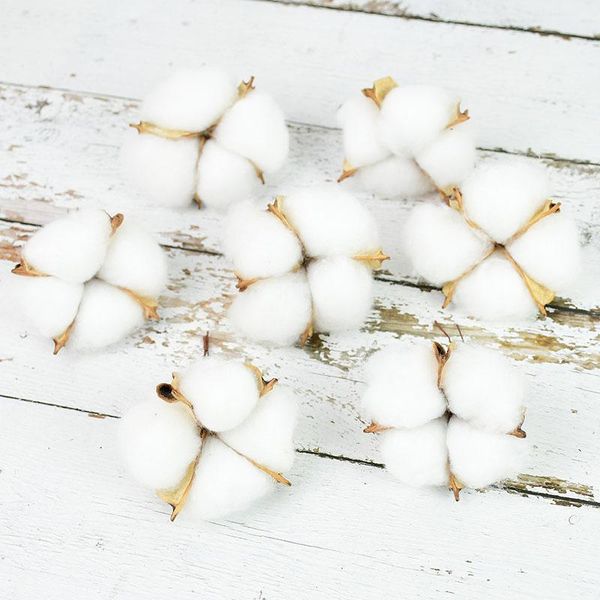 white cotton flowers natural dried flower head gift box wreaths florist car decorative artificial for home wedding party &
white cotton flowers natural dried flower head gift box wreaths florist car decorative artificial for home wedding party &