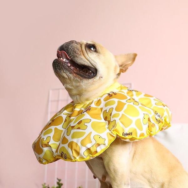 dog collars & leashes pet puppy collar anti-scratch protection bathing waterproof cute flower shape cat kitty elizabeth ring 
dog collars & leashes pet puppy collar anti-scratch protection bathing waterproof cute flower shape cat kitty elizabeth ring