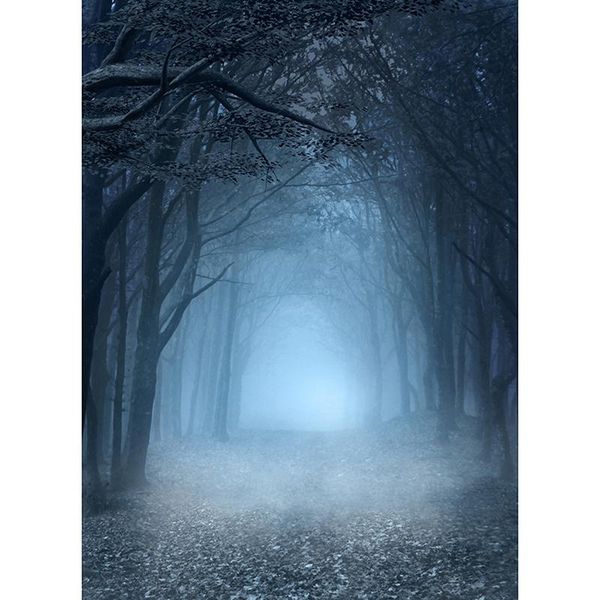 party decoration halloween backdrop foggy gloomy forest prop vinly cloth wall decor birthday pet pography background
party decoration halloween backdrop foggy gloomy forest prop vinly cloth wall decor birthday pet pography background