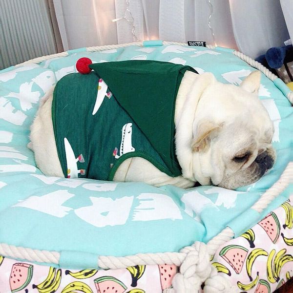 dog apparel pet cotton fleeced clothes cartoon crocodiles printed sleeveless hooded costume warm for small
dog apparel pet cotton fleeced clothes cartoon crocodiles printed sleeveless hooded costume warm for small