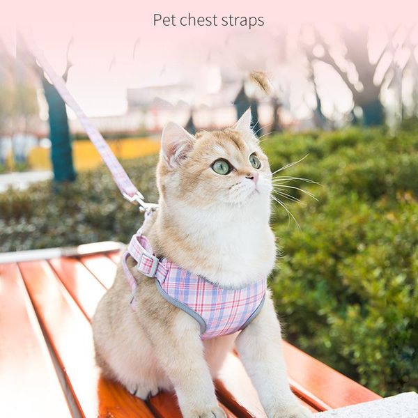 cat collars & leads small dog reflective harness leash vest set cats gatos walking collar soft kitten pet accessories traction rope
cat collars & leads small dog reflective harness leash vest set cats gatos walking collar soft kitten pet accessories traction rope