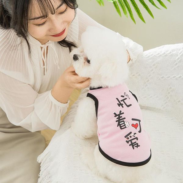 cat clothes spring and summer breathable thin mesh vest pet clothing for small medium cats cute cartoon print fashion 2021 costumes
cat clothes spring and summer breathable thin mesh vest pet clothing for small medium cats cute cartoon print fashion 2021 costumes