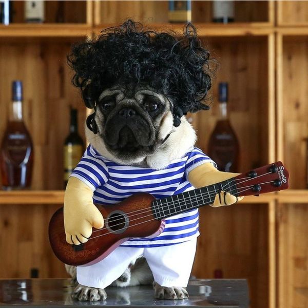 cute funny pet guitar clothes cat dog guitarist dressing costume dress cosplay perform clothing products costumes
cute funny pet guitar clothes cat dog guitarist dressing costume dress cosplay perform clothing products costumes