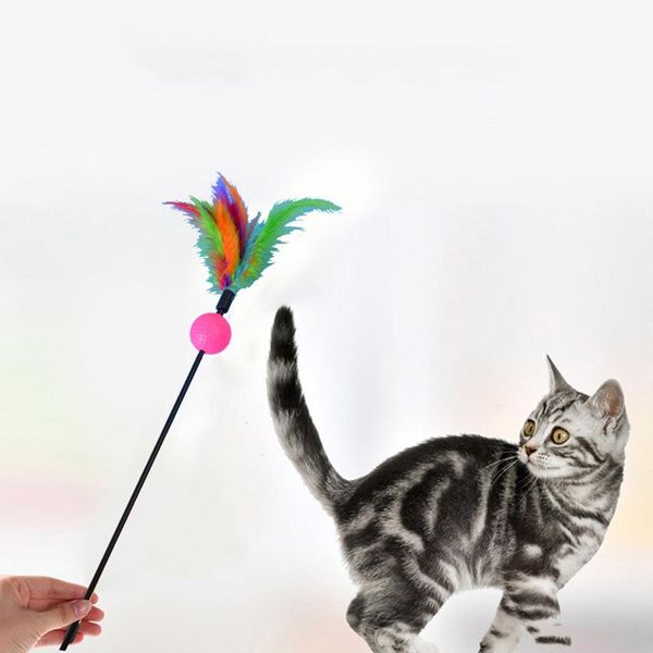 cat toys aapet 2pcs teaser toy kitten funny rod wand feather interactive stick for pet supplies accessories
cat toys aapet 2pcs teaser toy kitten funny rod wand feather interactive stick for pet supplies accessories
