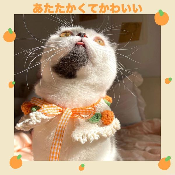 cat collars & leads pet cute and warm collar cape knitted bib with hand-crocheted wool dog chihuahua necklace accessories
cat collars & leads pet cute and warm collar cape knitted bib with hand-crocheted wool dog chihuahua necklace accessories