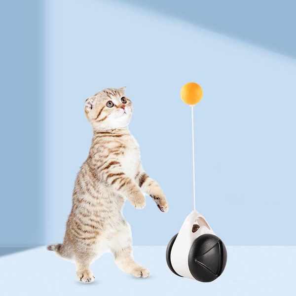 cat toys tumbler swing for cats kitten interactive balance car chasing toy with catnip funny pet products
cat toys tumbler swing for cats kitten interactive balance car chasing toy with catnip funny pet products