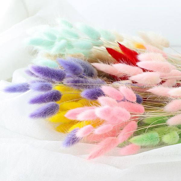 decorative flowers & wreaths 20pcs colorful grass dried flower tail natural plants floral bouquet home decoration accessories l
decorative flowers & wreaths 20pcs colorful grass dried flower tail natural plants floral bouquet home decoration accessories l