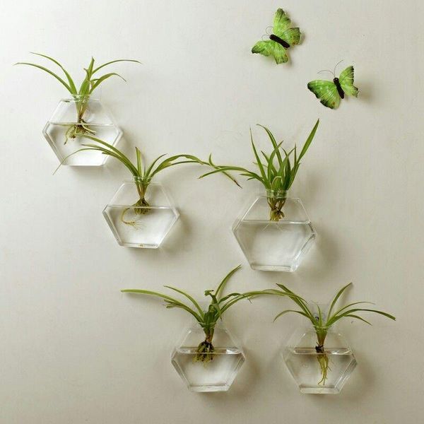 storage bottles & jars fashion useful hanging plant flower glass vase terrarium wall fish tank aquarium decor
storage bottles & jars fashion useful hanging plant flower glass vase terrarium wall fish tank aquarium decor