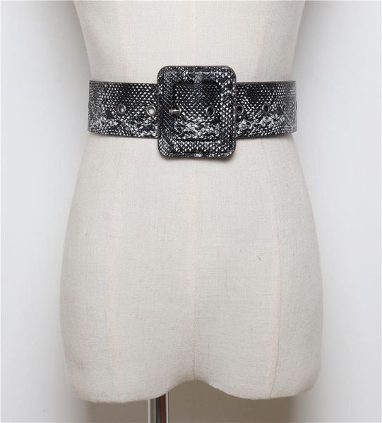 belts female pu leather snake waist belt women 2021 designer for women's dress cinto feminino sw22, Black;brown
belts female pu leather snake waist belt women 2021 designer for women's dress cinto feminino sw22, Black;brown