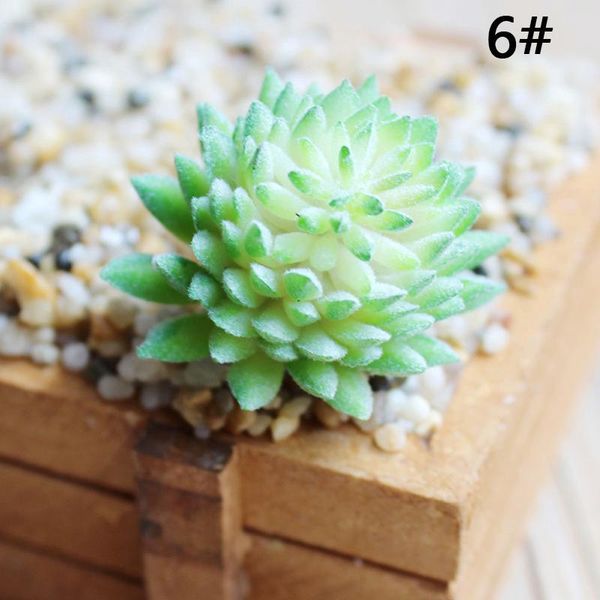 decorative flowers & wreaths artificial succulent bonsai home office tabledeskdisplay decorations simulation lifelike plants
decorative flowers & wreaths artificial succulent bonsai home office tabledeskdisplay decorations simulation lifelike plants