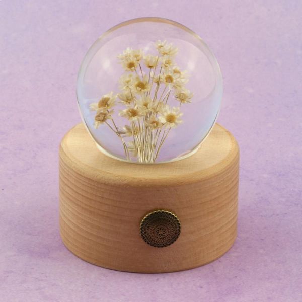 novelty items natural white daisy flower specimen crystal glass resin lens ball with stand christmas mom girlfriend gift home decoration glo
novelty items natural white daisy flower specimen crystal glass resin lens ball with stand christmas mom girlfriend gift home decoration glo