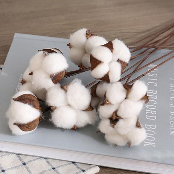 decorative flowers & wreaths 5pcs/lot artificial cotton flower 8 colors single branch 62cm simulation diy wedding decoration for home party
decorative flowers & wreaths 5pcs/lot artificial cotton flower 8 colors single branch 62cm simulation diy wedding decoration for home party