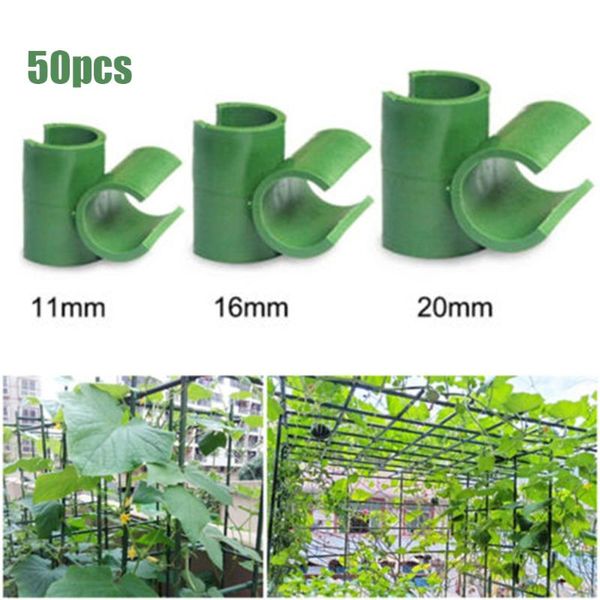 other garden supplies 50pcs plant support fixed cross clip gardening grafting stakes connector suitable for wholesale
other garden supplies 50pcs plant support fixed cross clip gardening grafting stakes connector suitable for wholesale