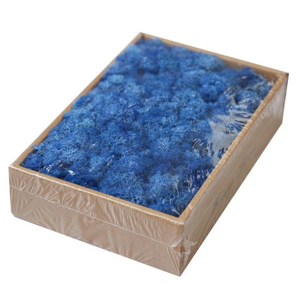 decorative flowers & wreaths 200g moss stabilized plant preserved flower home wedding living room decor wall diy grass mini acc
decorative flowers & wreaths 200g moss stabilized plant preserved flower home wedding living room decor wall diy grass mini acc