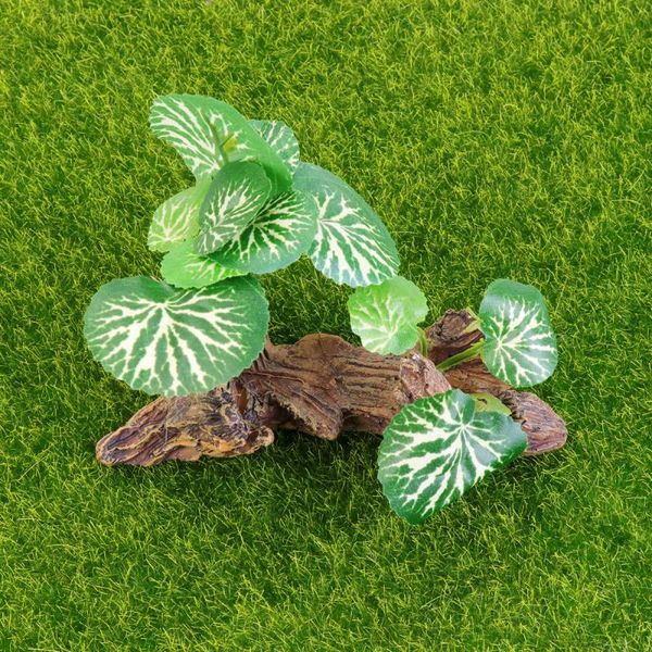 aquarium wood sculpture grass figure fish tank landscape ornament resin deskdecoration po props model supplies (green) decorations
aquarium wood sculpture grass figure fish tank landscape ornament resin deskdecoration po props model supplies (green) decorations
